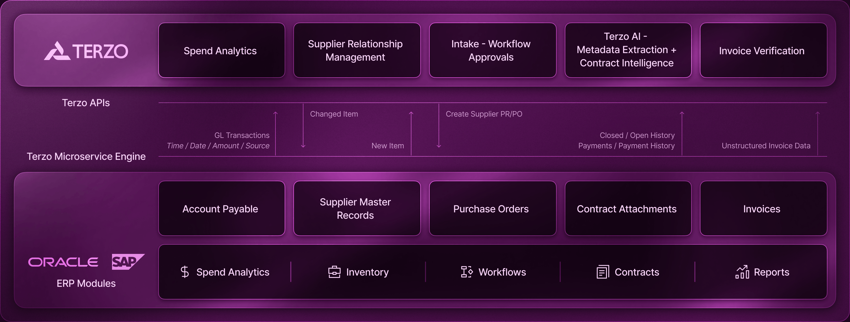 Terzo architecture connecting enterprise applications, APIs, workflows, ERP data, and analytics