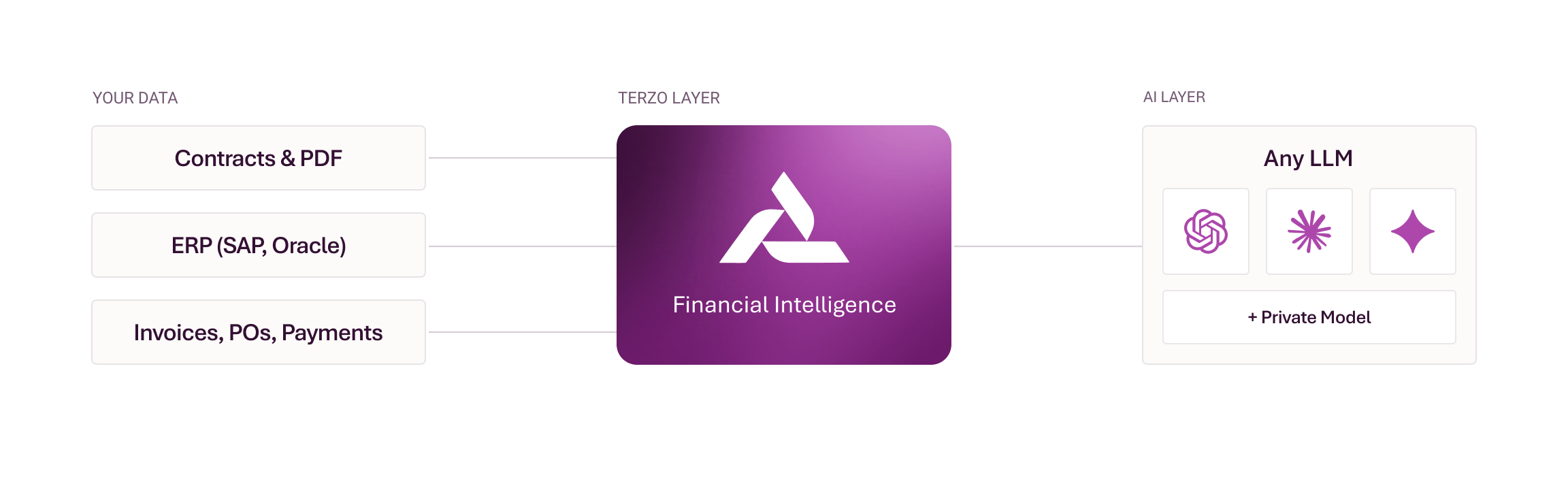 Contracts, ERP, invoices, purchase orders and payments flow through Terzo Financial Intelligence to any LLM or private model.